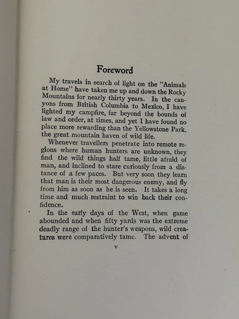 Wild Animals at Home (Hardcover) by Ernest Thompson Seton 1913 First Edition - 8