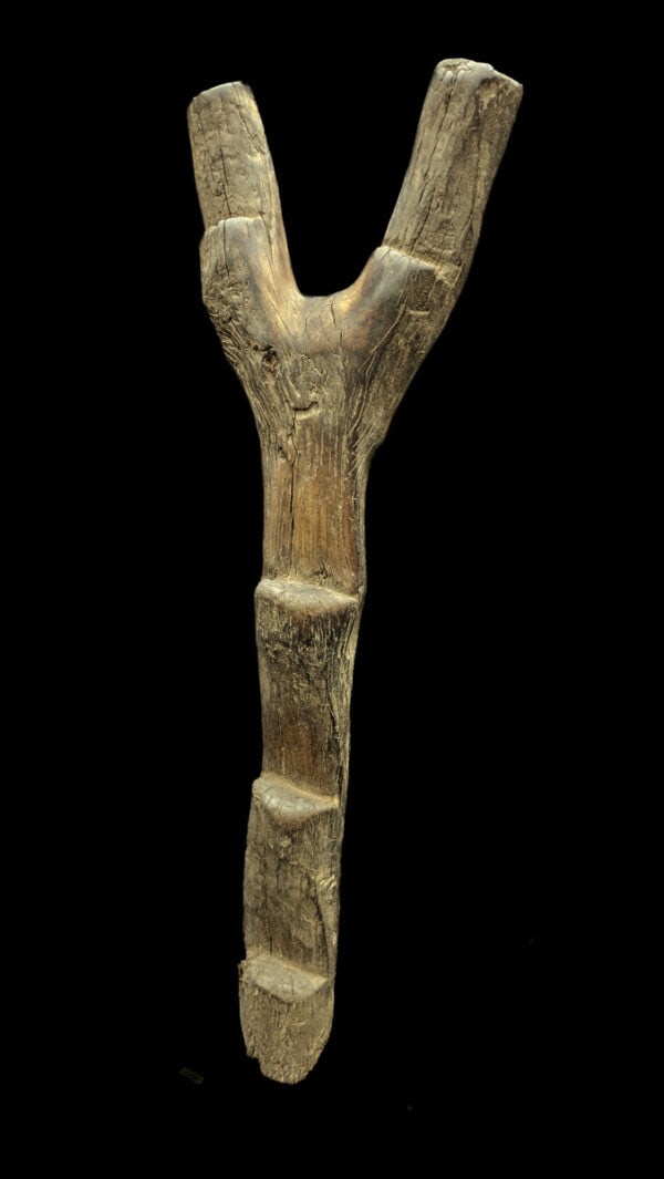 Ladder – Wood – Dogon – Mali (167 cm) - 2
