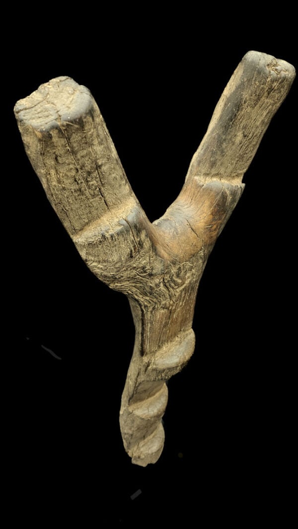 Ladder – Wood – Dogon – Mali (167 cm) - 3