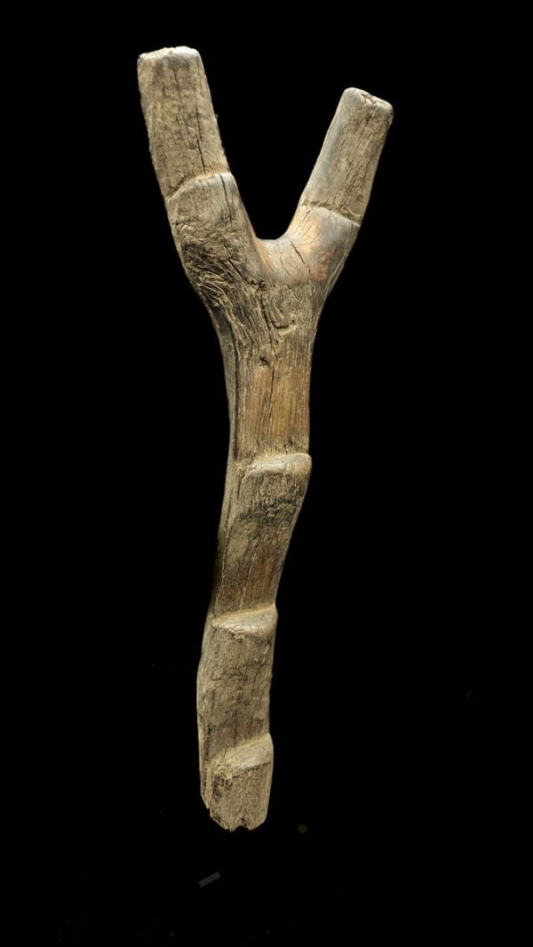 Ladder – Wood – Dogon – Mali (167 cm) - 4