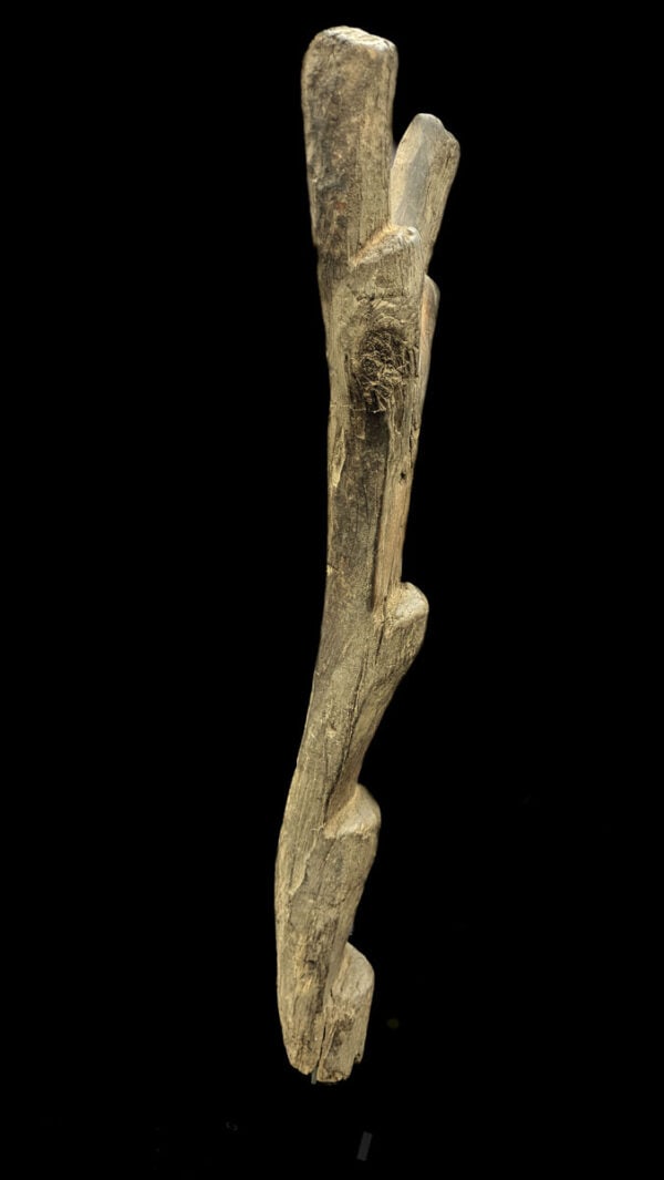 Ladder – Wood – Dogon – Mali (167 cm) - 5