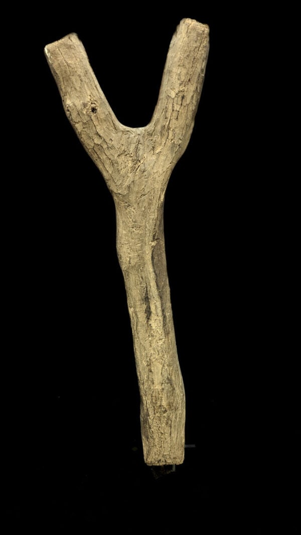 Ladder – Wood – Dogon – Mali (167 cm) - 6