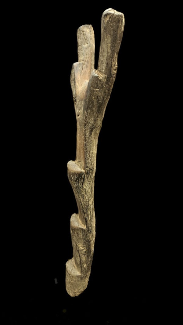 Ladder – Wood – Dogon – Mali (167 cm) - 7