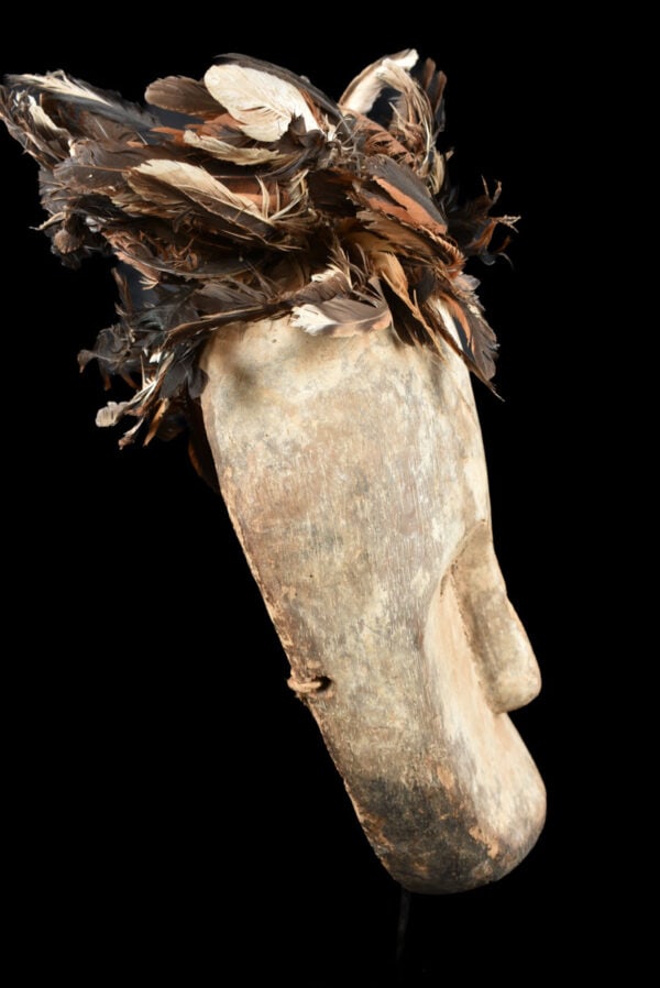 Ngil mask – Wood, Feathers – Fang – Gabon - 3