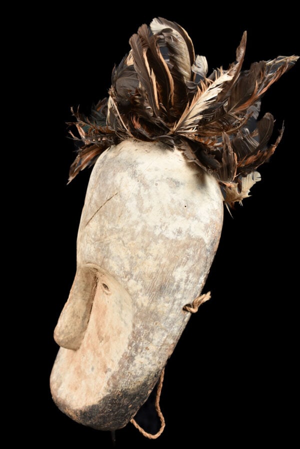 Ngil mask – Wood, Feathers – Fang – Gabon - 5