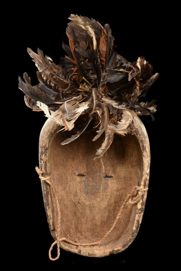 Ngil mask – Wood, Feathers – Fang – Gabon - 7