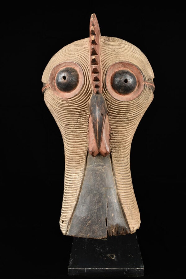 Rooster Mask – Wood – Luba / Songye – Congo DRC: Luba / Songye bird mask from DR Congo. Here an example of male Kifwebe characterized by angular and thrusting forms, and with the entire face covered in patterns of geometric grooves that are uniquely