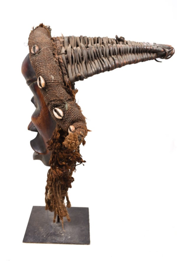 Mask – Wood, Shell, Fabric – Dan – Ivory Coast - 6