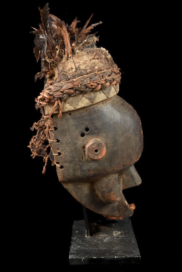 Initiation mask – Wood, Feathers – Salampasu – Congo - 2