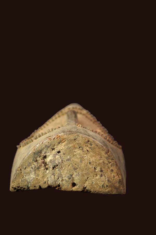 Initiation mask – Wood – Ngbaka – DR Congo - 6