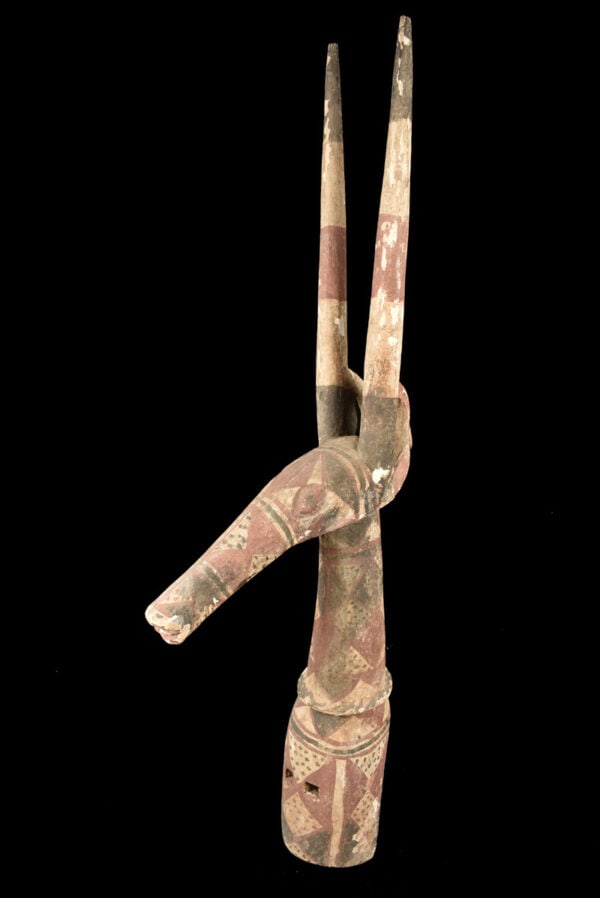Mask / Headdress – Wood – Kurumba – Burkina Faso: The Kurumba people produce a mask headdress in the form of an antelope. The powerful neck supports a head with a long pointed protruding snout. Large piece, dimensions: 111×36 cm! Kurumba masks a