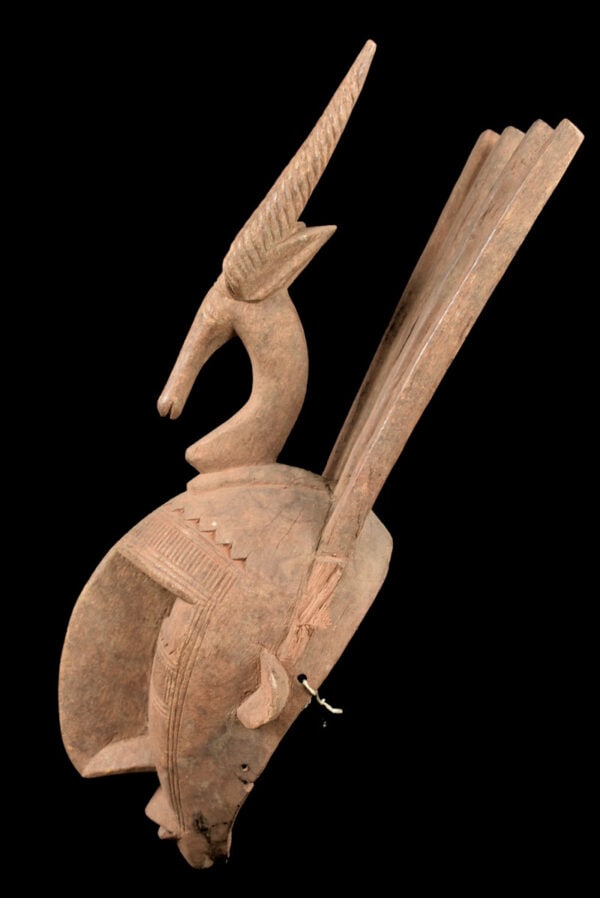 Ntomo mask – Wood – Bambara – Mali - 2