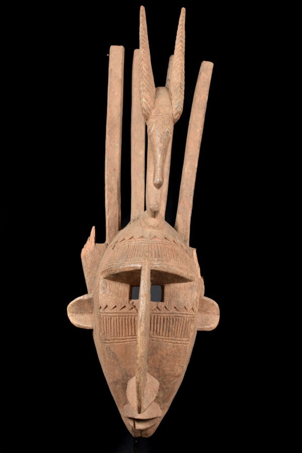 Ntomo mask – Wood – Bambara – Mali - 3