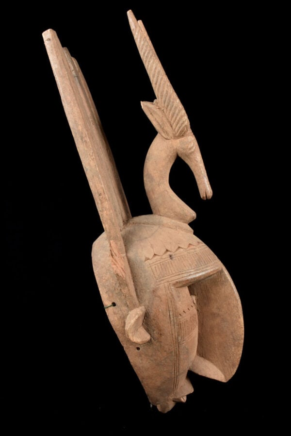 Ntomo mask – Wood – Bambara – Mali - 4