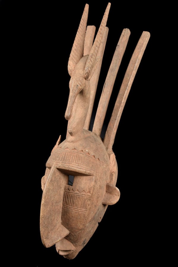 Ntomo mask – Wood – Bambara – Mali - 5