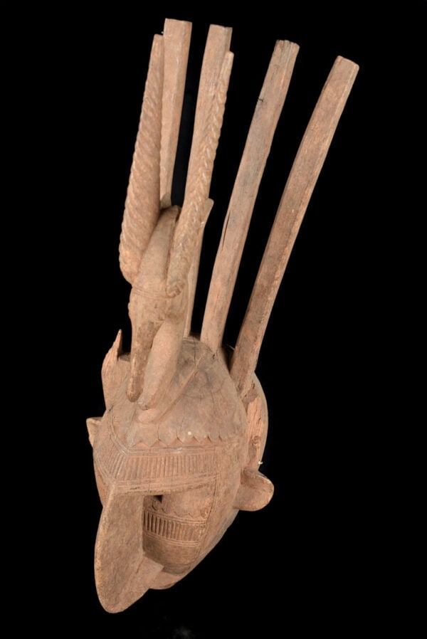 Ntomo mask – Wood – Bambara – Mali - 7