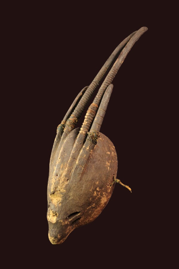 Ci-wara Headdress – Wood – Bambara – Mali: Bambara carvers have established a reputation for the zoomorphic headdresses worn by Chi-Wara society members. Although they are all different, they all display a highly abstract body, often