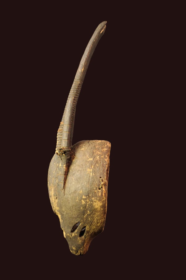 Ci-wara Headdress – Wood – Bambara – Mali - 3