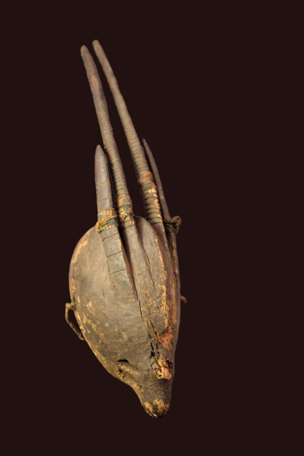 Ci-wara Headdress – Wood – Bambara – Mali - 4