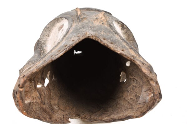 Helmet mask – Wood – Ngongtang – Fang – Gabon - 9