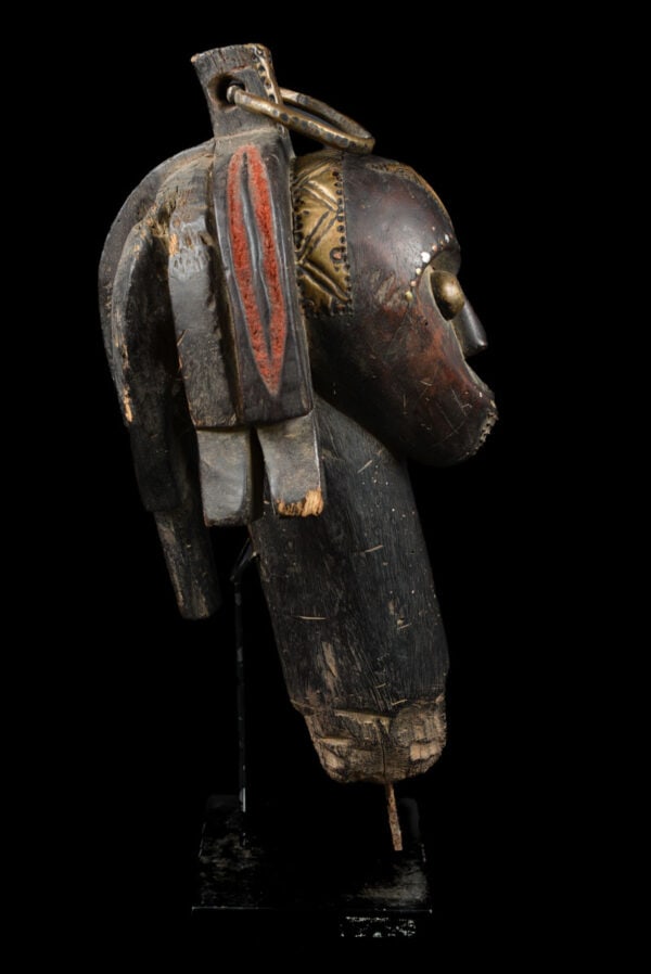 Reliquary Byeri Head – Wood, Metal – Fang – Gabon - 4