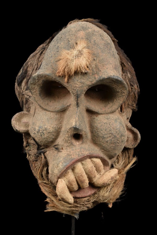 Skull Mask – Wood – Bulu – Cameroon: Unique skull maskfrom the Bulu tribe / Corss River of Cameroon. The Bulu are among the many peoples in the area to share a reverence, mixed with terror, for the great apes of the forest – especi