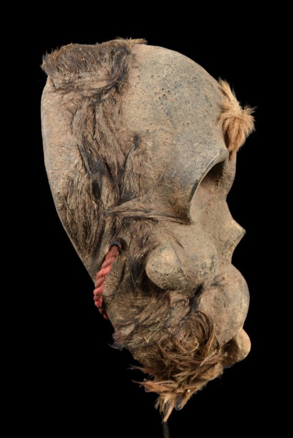 Skull Mask – Wood – Bulu – Cameroon - 3