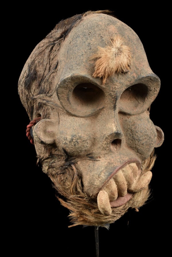 Skull Mask – Wood – Bulu – Cameroon - 4