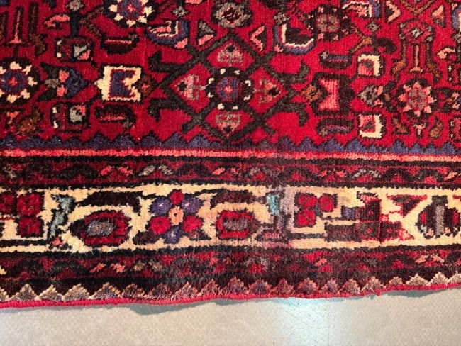Persian Hamedan Runner 3.4x10 - 4