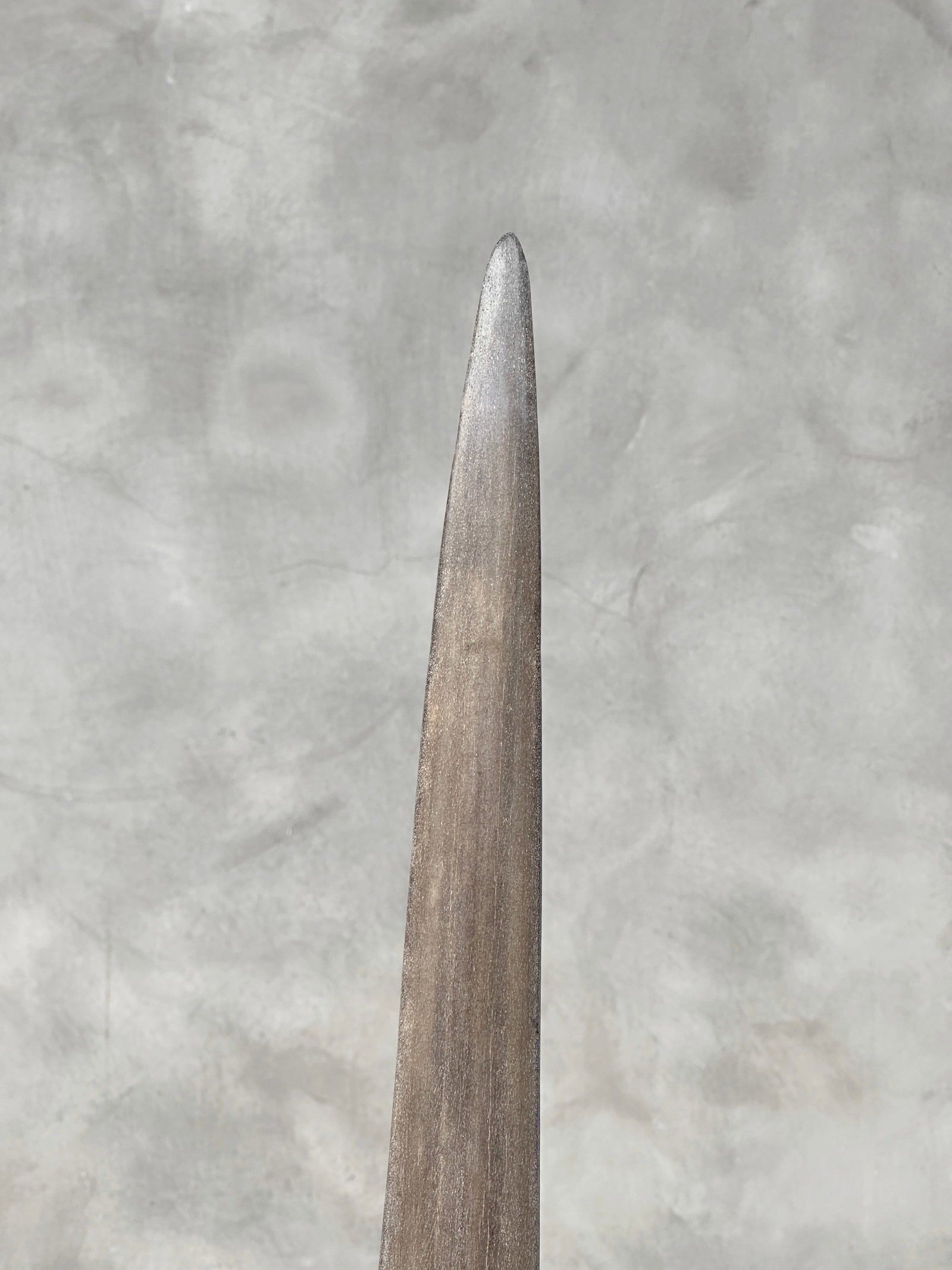 Swordfish tusk with stand - 10