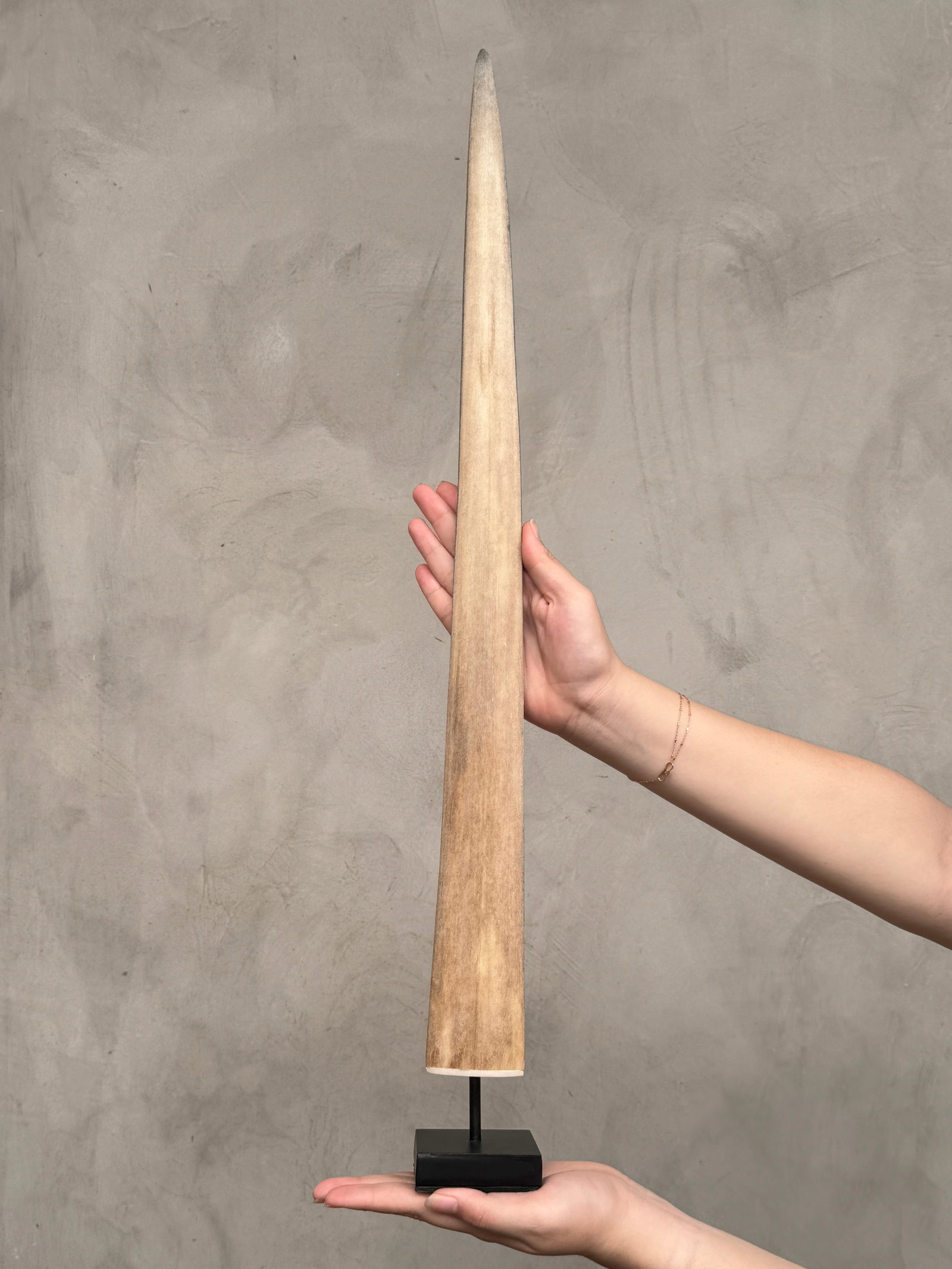 Swordfish tusk with stand (1 of 10)