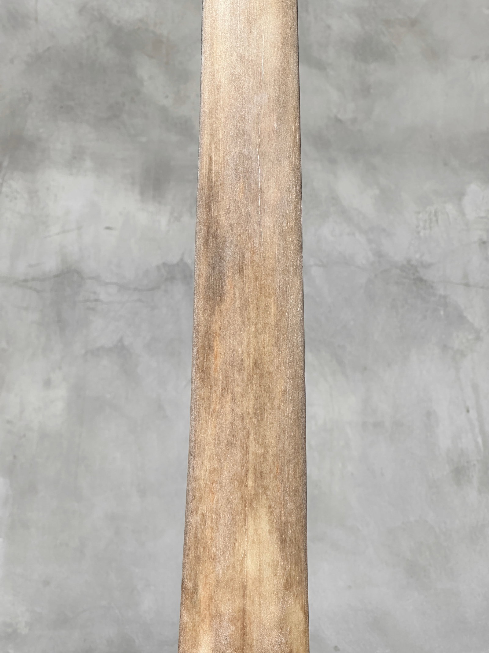Swordfish tusk with stand - 5