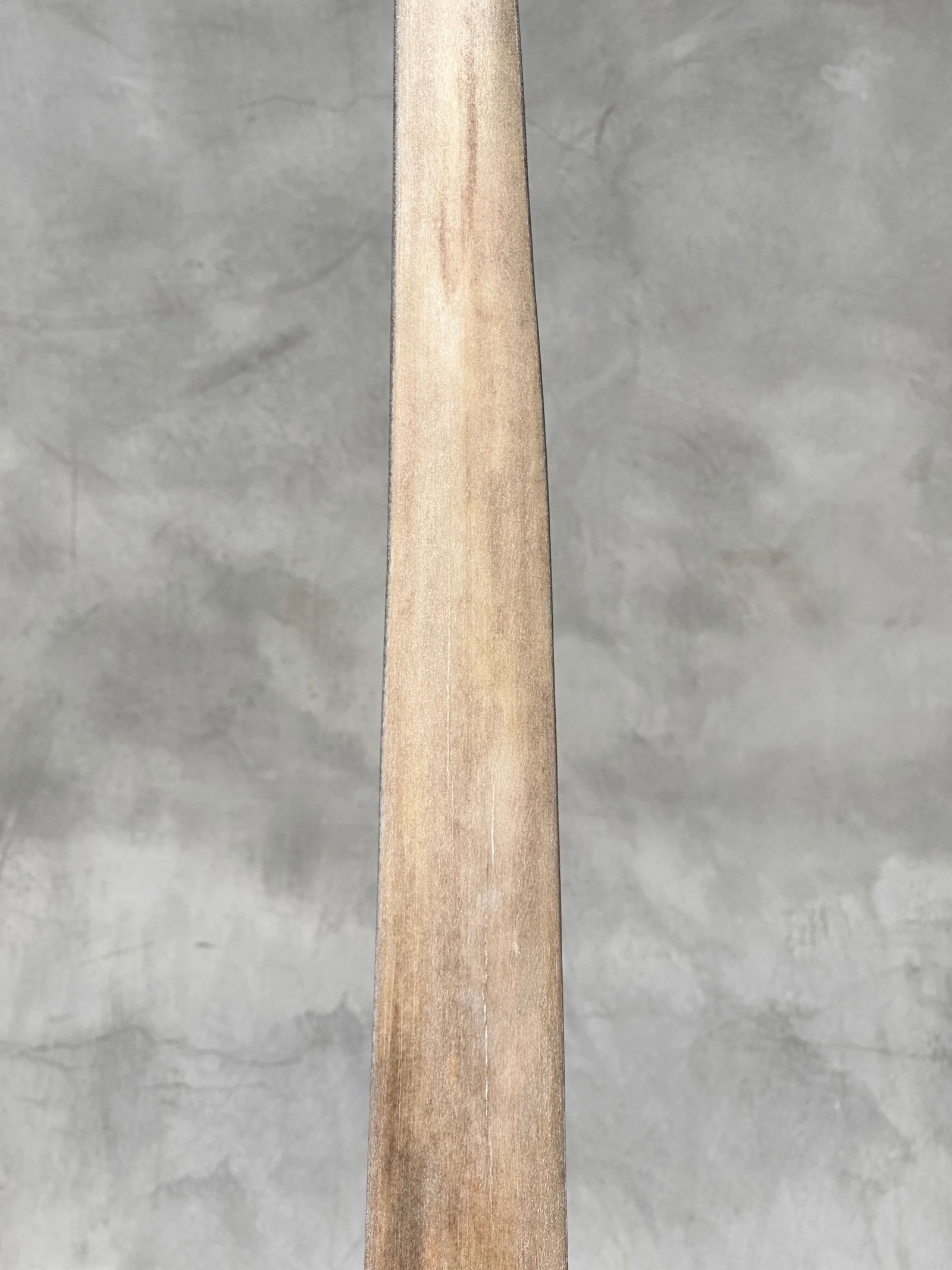 Swordfish tusk with stand - 6