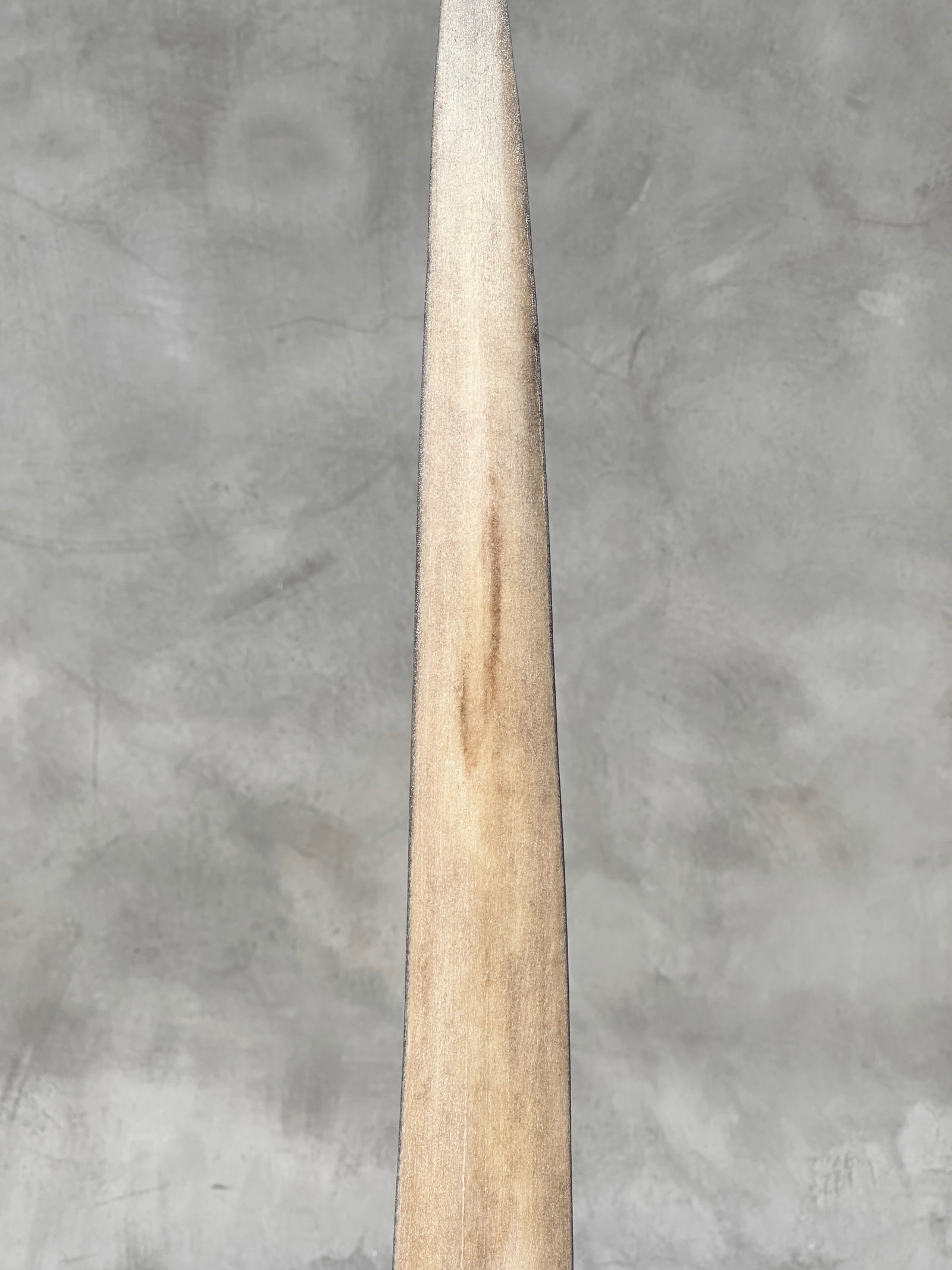 Swordfish tusk with stand - 7