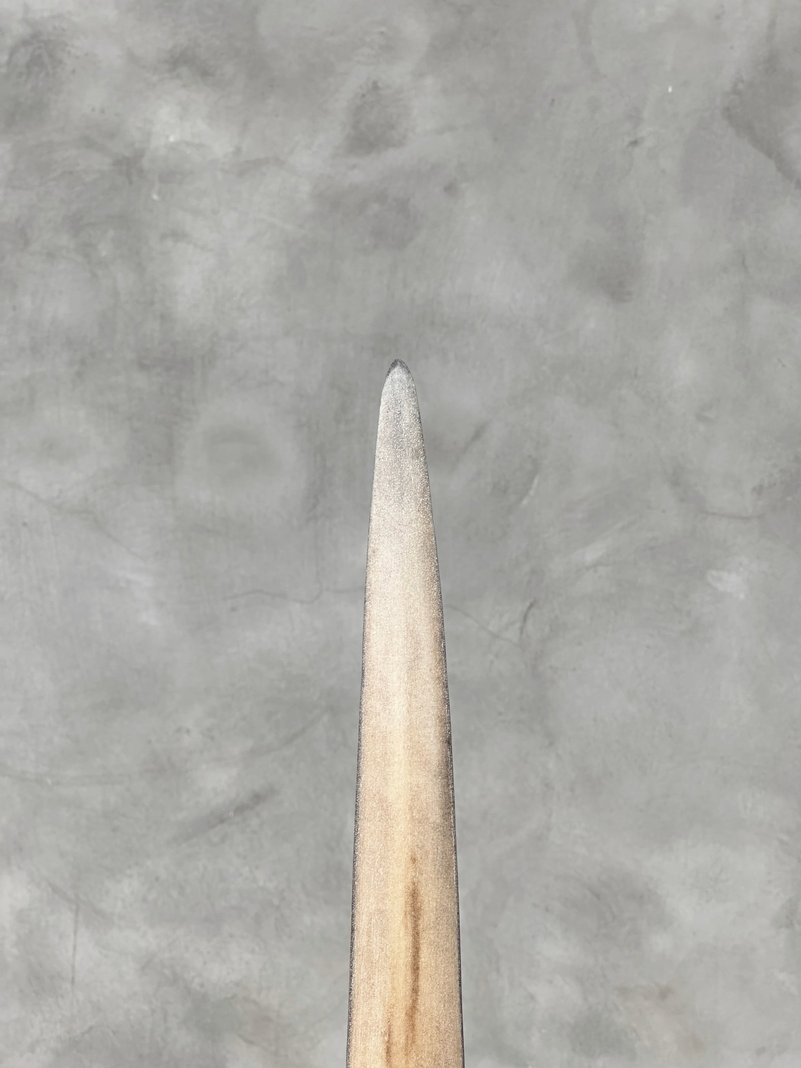 Swordfish tusk with stand - 8