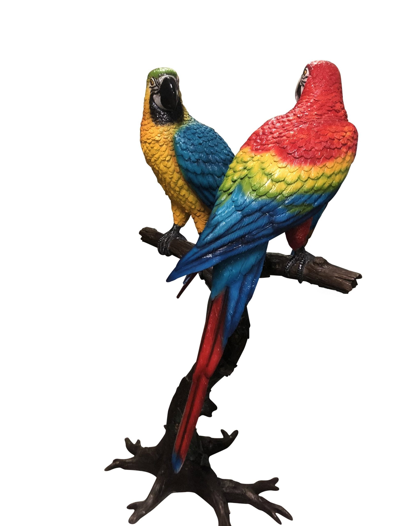 Pair of Parrots on a tree - Bronze Statue - Size: 43"L x 28"W x 67"H. - 6