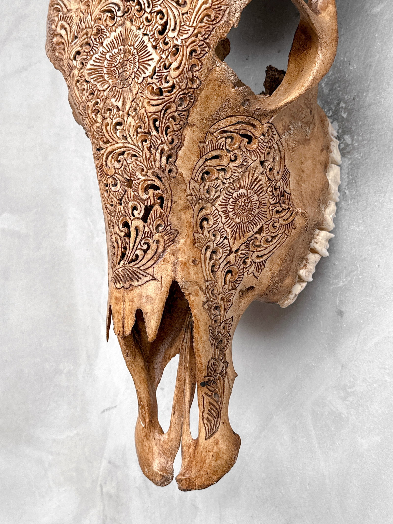 Brown cow skull - Traditional Balinese motif - 8
