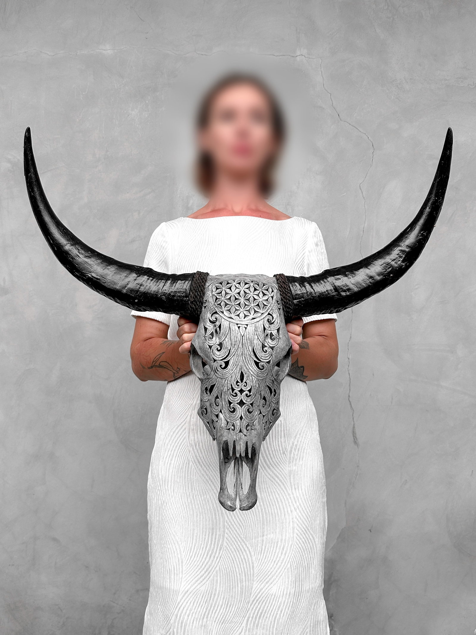 Grey buffalo skull - Flower of life motif: Title: Grey buffalo skull - Flower of life motif Maker:Unknown Origin: Indonesia Date/Period:2026 Materials:Bubalus Bubalis, bone, horn Dimensions:Height: 61 cm / 24.1 inches. Length: 71 cm / 27.9