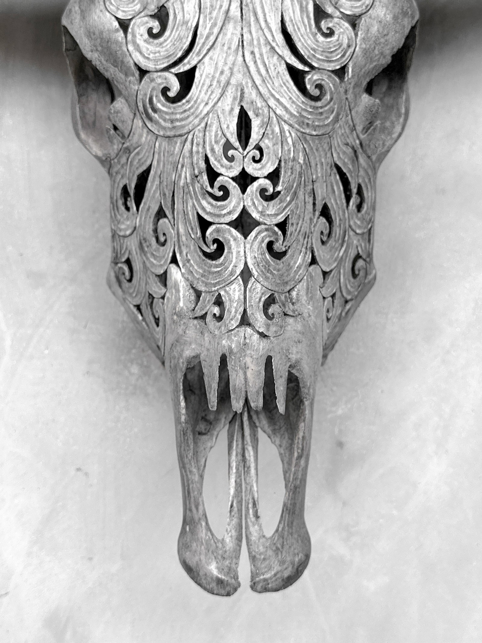 Grey buffalo skull - Flower of life motif - 4