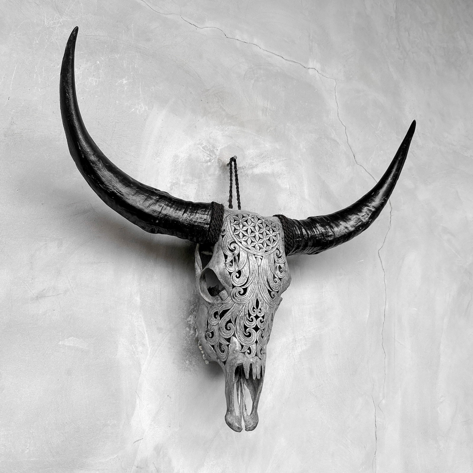 Grey buffalo skull - Flower of life motif - 5