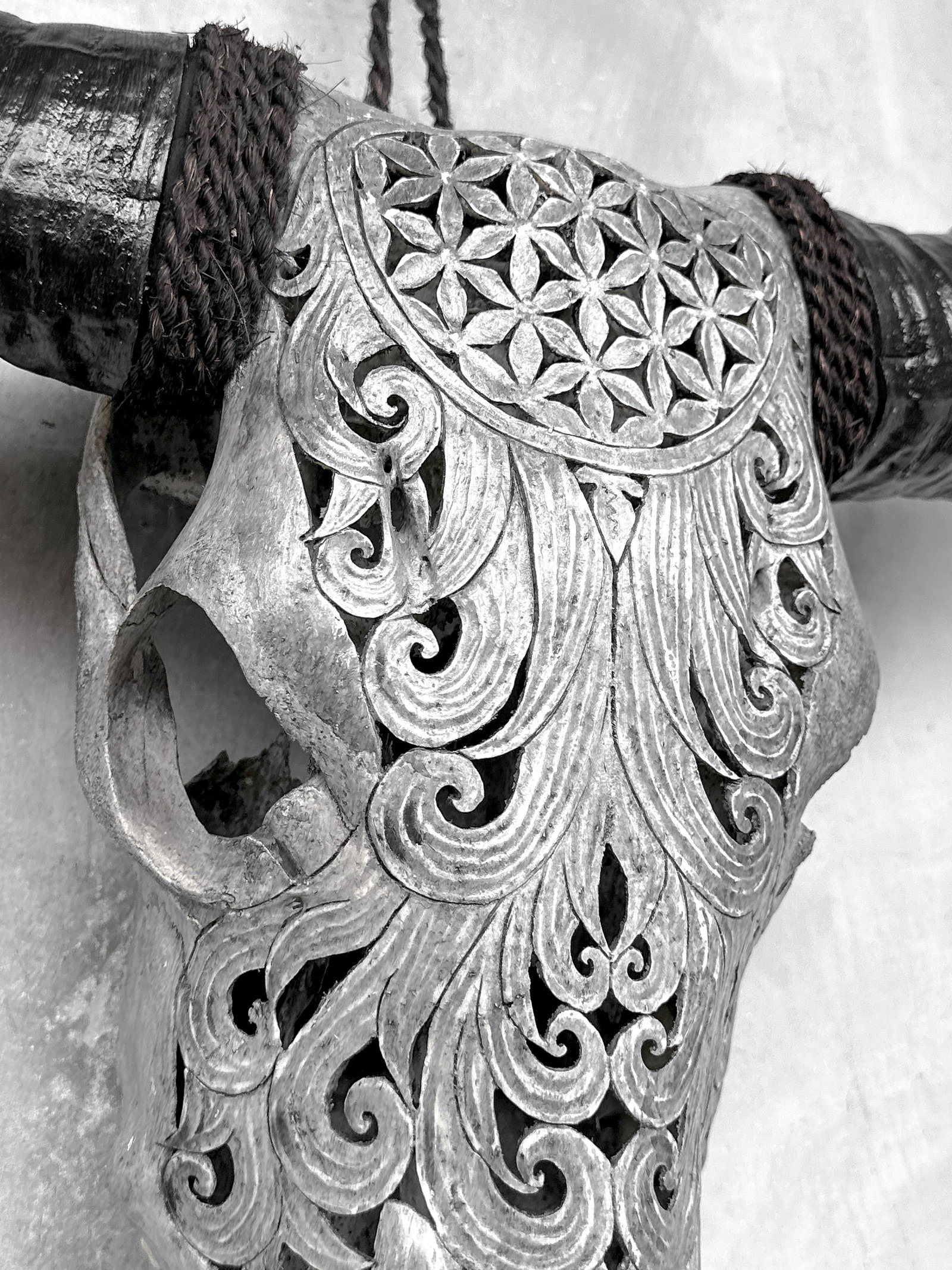 Grey buffalo skull - Flower of life motif - 6