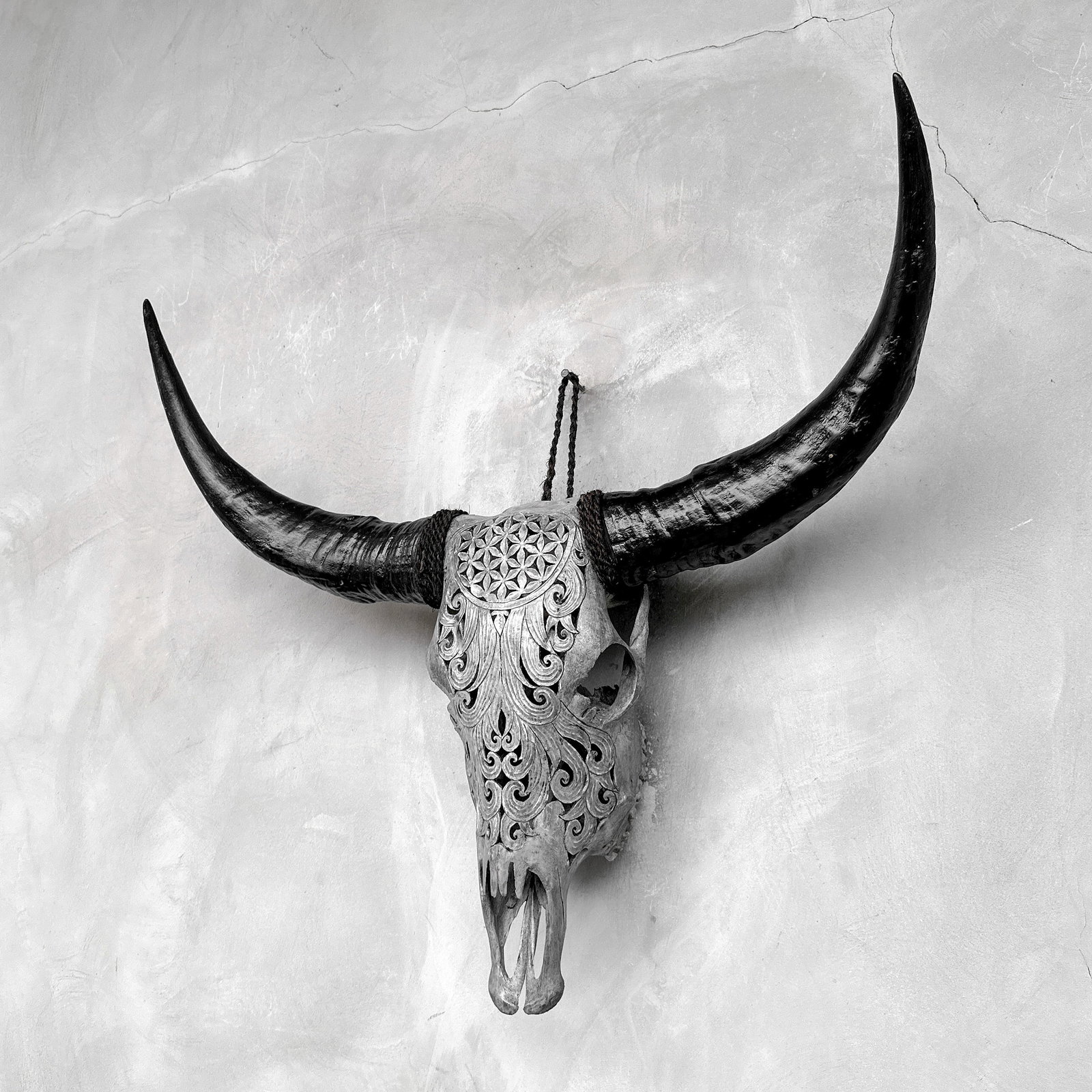 Grey buffalo skull - Flower of life motif - 7