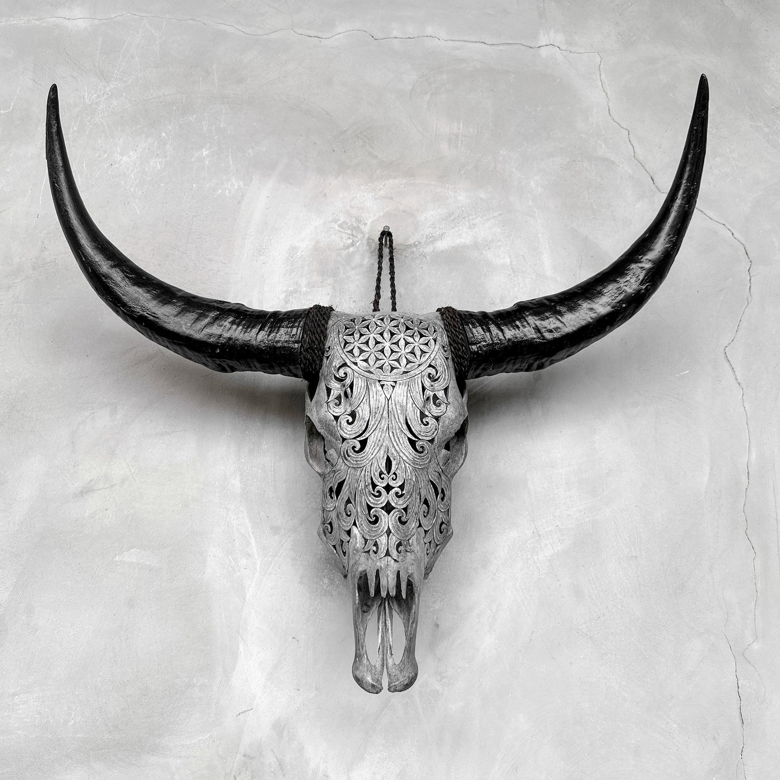 Grey buffalo skull - Flower of life motif - 9