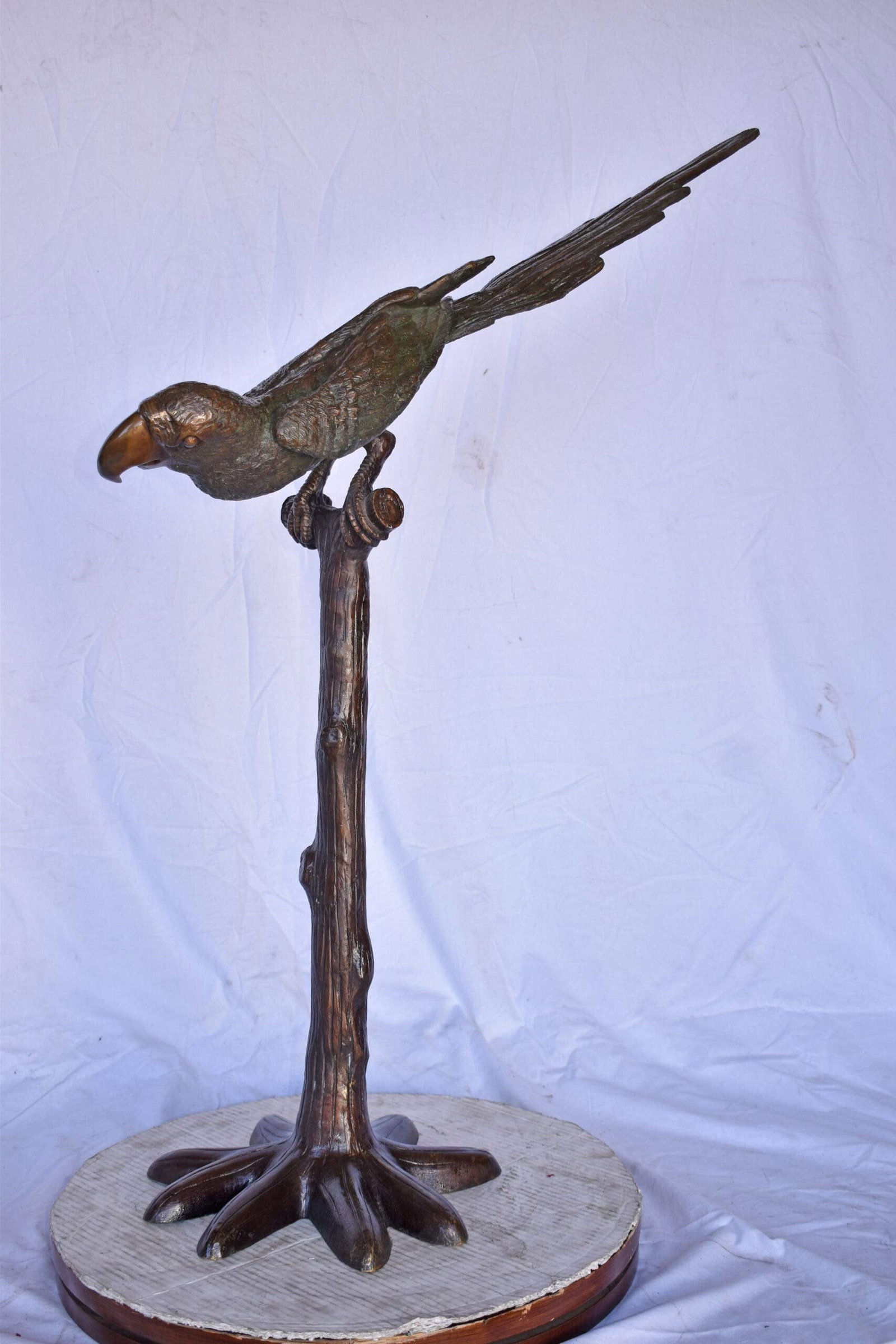 Parrot on a Tree looking Down Bronze Statue - Size: 37"L x 15"W x 47"H. - 4