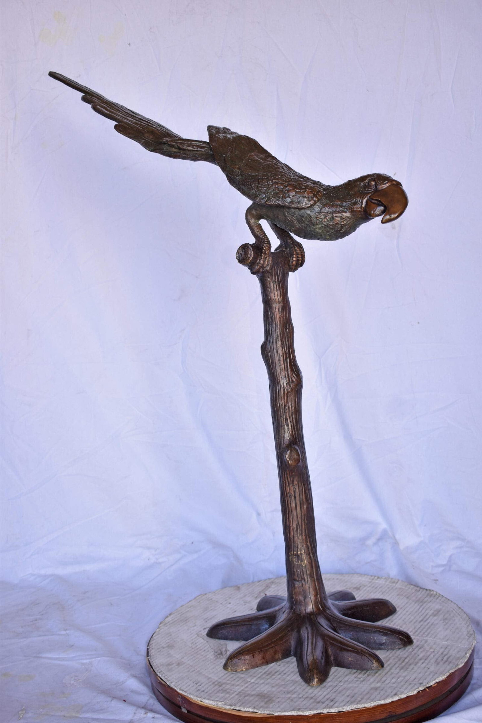 Parrot on a Tree looking Down Bronze Statue - Size: 37"L x 15"W x 47"H. - 7