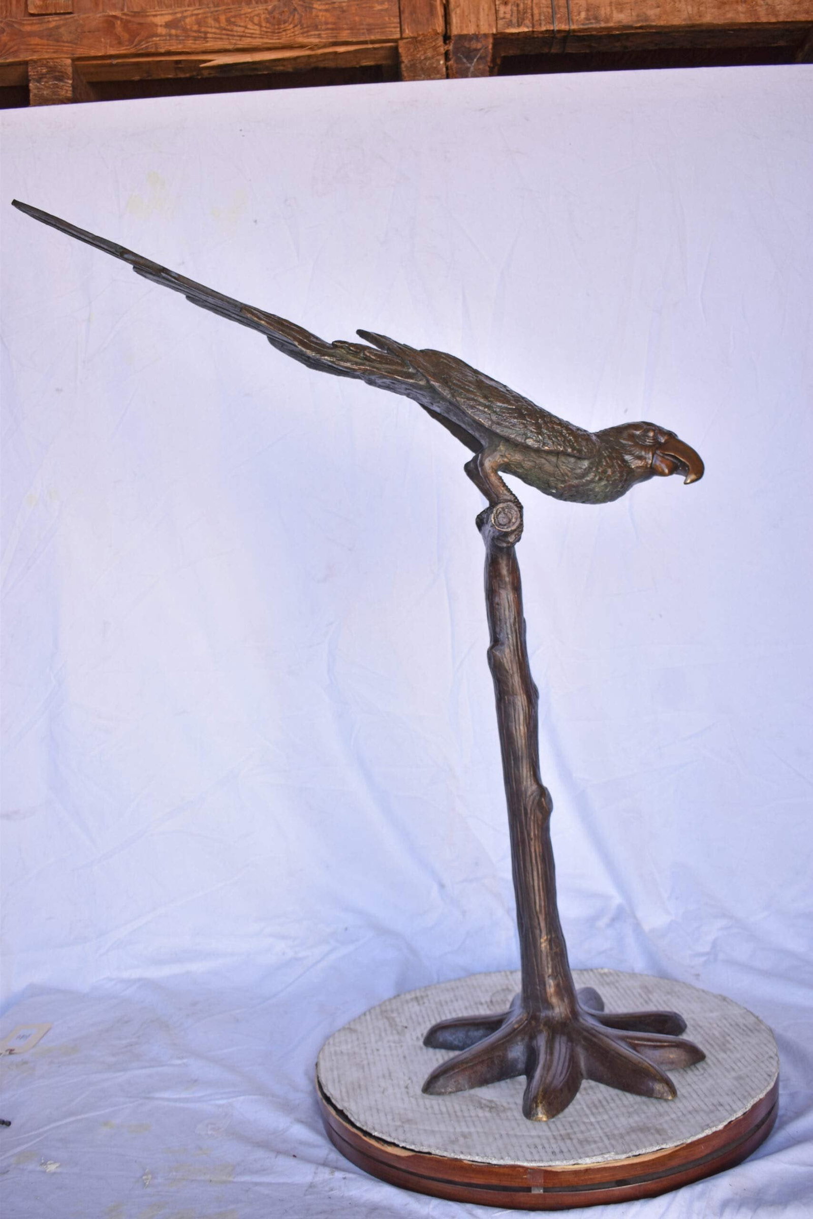 Parrot on a Tree looking Down Bronze Statue - Size: 37"L x 15"W x 47"H. - 8