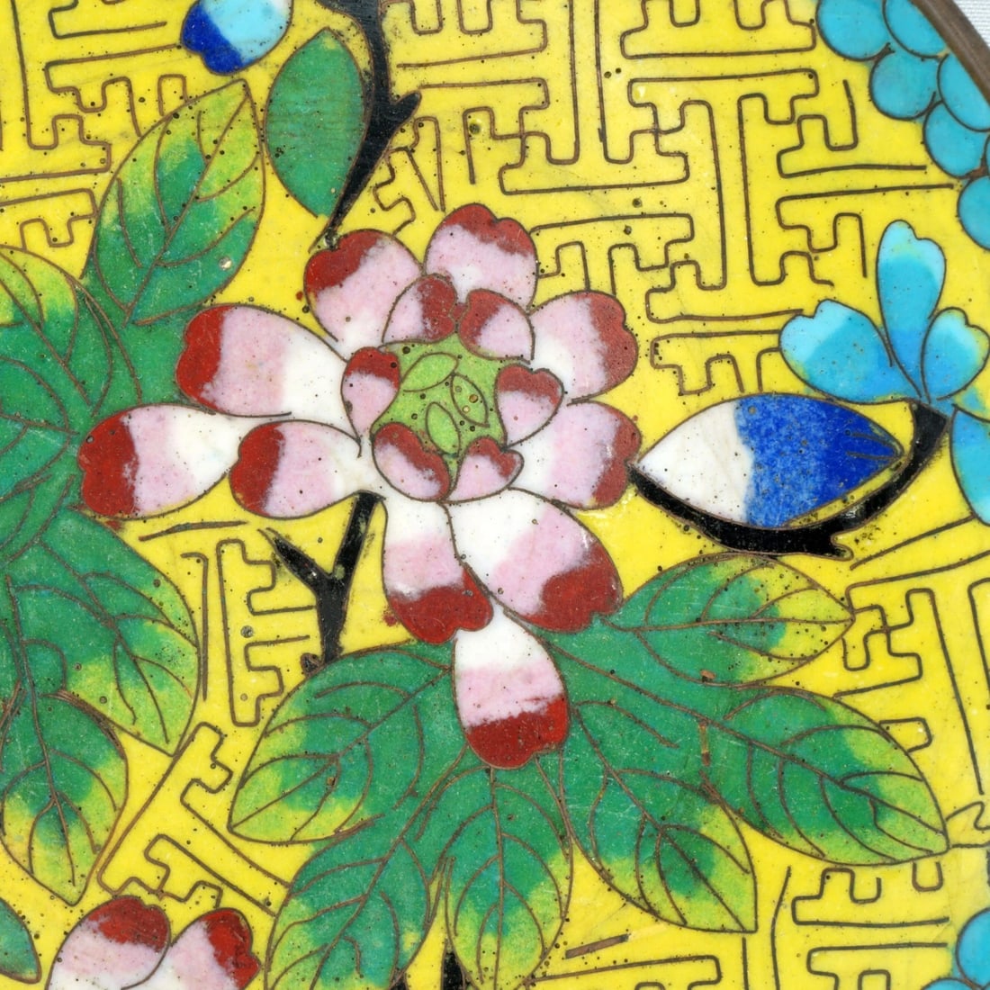 Small 1920s Chinese Copper Cloisonne Dish - 3