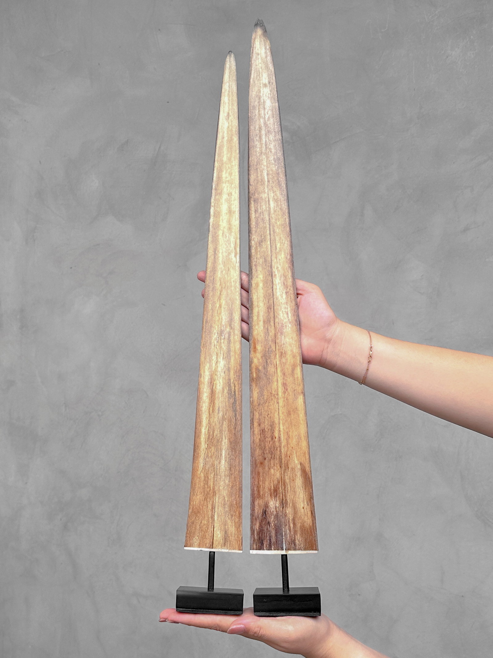 Pair of swordfish tusks with custom stands (1 of 10)
