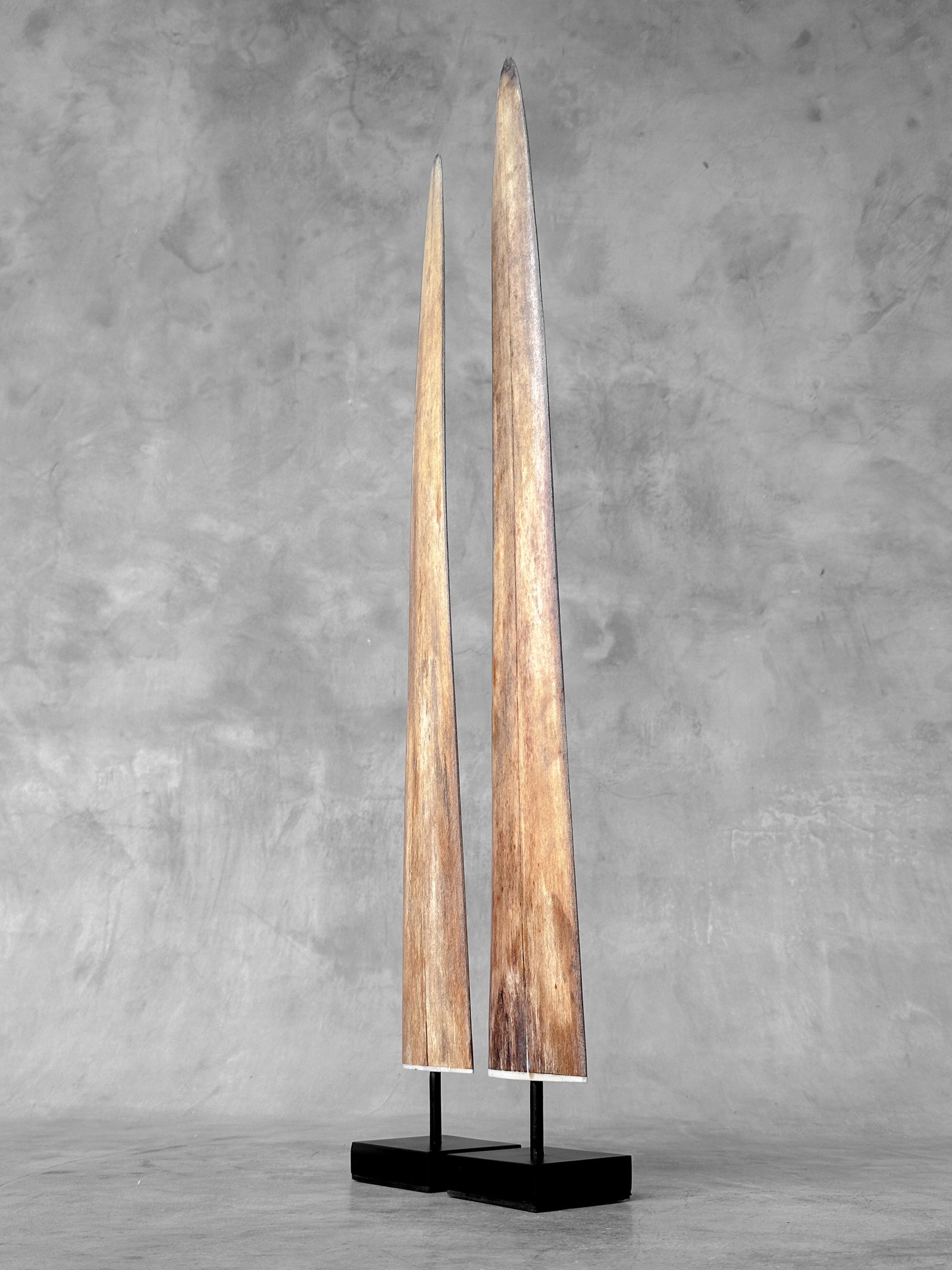 Pair of swordfish tusks with custom stands - 3