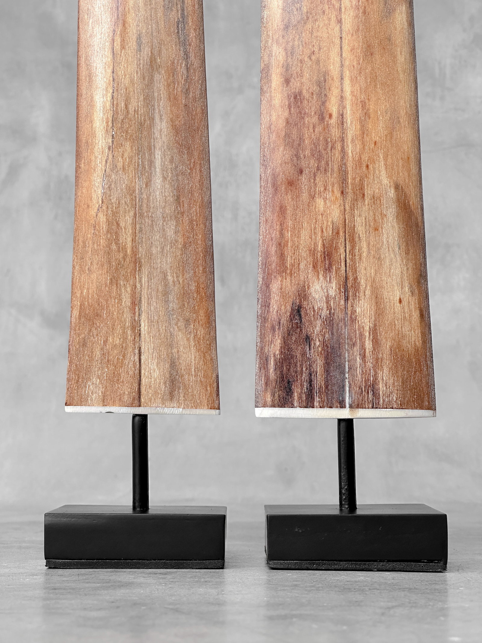 Pair of swordfish tusks with custom stands - 4